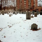  Old Graveyard